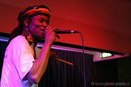 Bongo Reggae (20071209 0037)